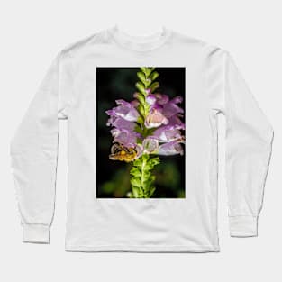 Bee On Obedient Plant 2 Long Sleeve T-Shirt